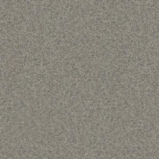 Линолеум Profi Premium Nevada 2_9001 шир.4.0м Линолеум Profi Premium Nevada 2_9001 шир.4.0м